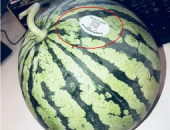 吃瓜网红地址,带你一探究竟