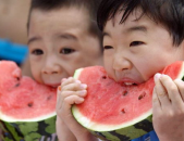 网红吃瓜感言句子大全,幽默吐槽，笑料百出